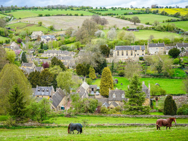 Horses at Naunton