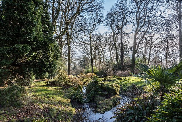 walking from blockley to batsford arboretum